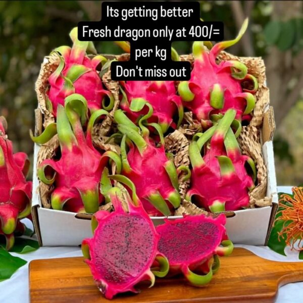 Dragon Fruit - Image 3