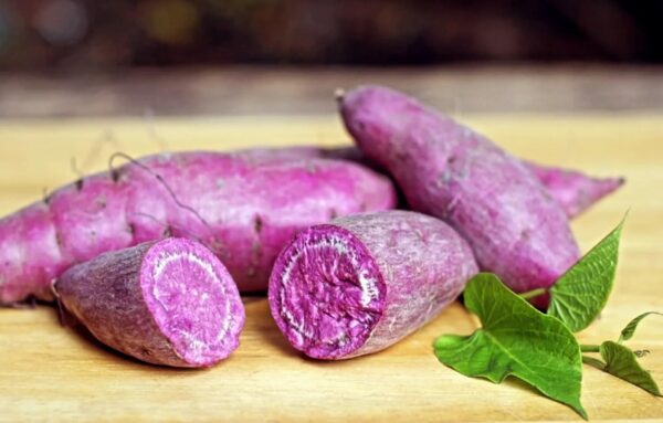 Purple Sweet Potato