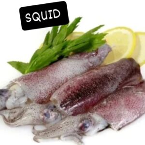 Squid Lovers