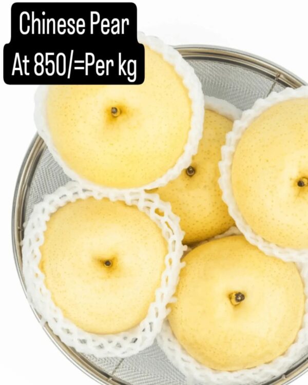 Chinese Pear