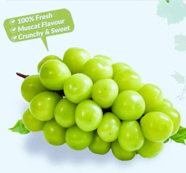 Shine Muscat Grapes