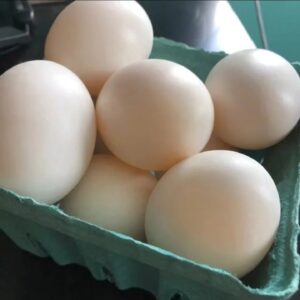 Duck Eggs