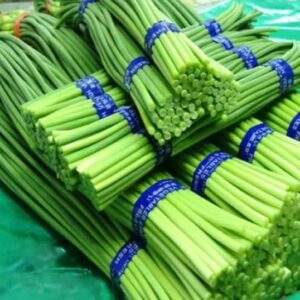 Garlic Shoots