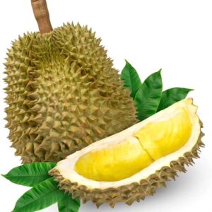 Durian