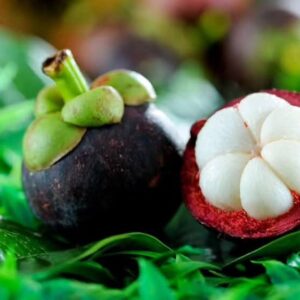 Mangosteen