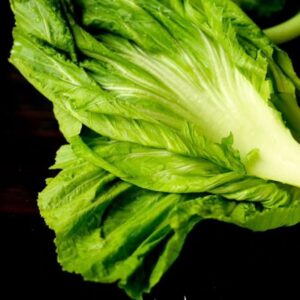 Mustard Green