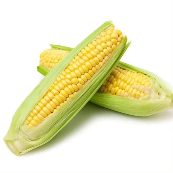 Yellow Sweetcorn