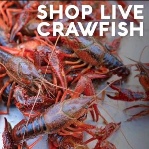 Live CrawFish